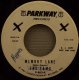 Harrison, Reggie & The Hippies - Memory Lane / A Lonely 45