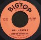 Johnny and The Hurricanes - Mr. Lonely / Ja-Da Vinyl 45