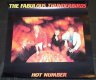 Fabulous Thunderbirds - Hot Number 1987 Promo Poster